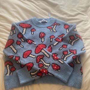 Zara Medium Mushroom Sweater